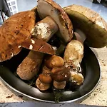 Ristorante Terme Acquasanta Terme